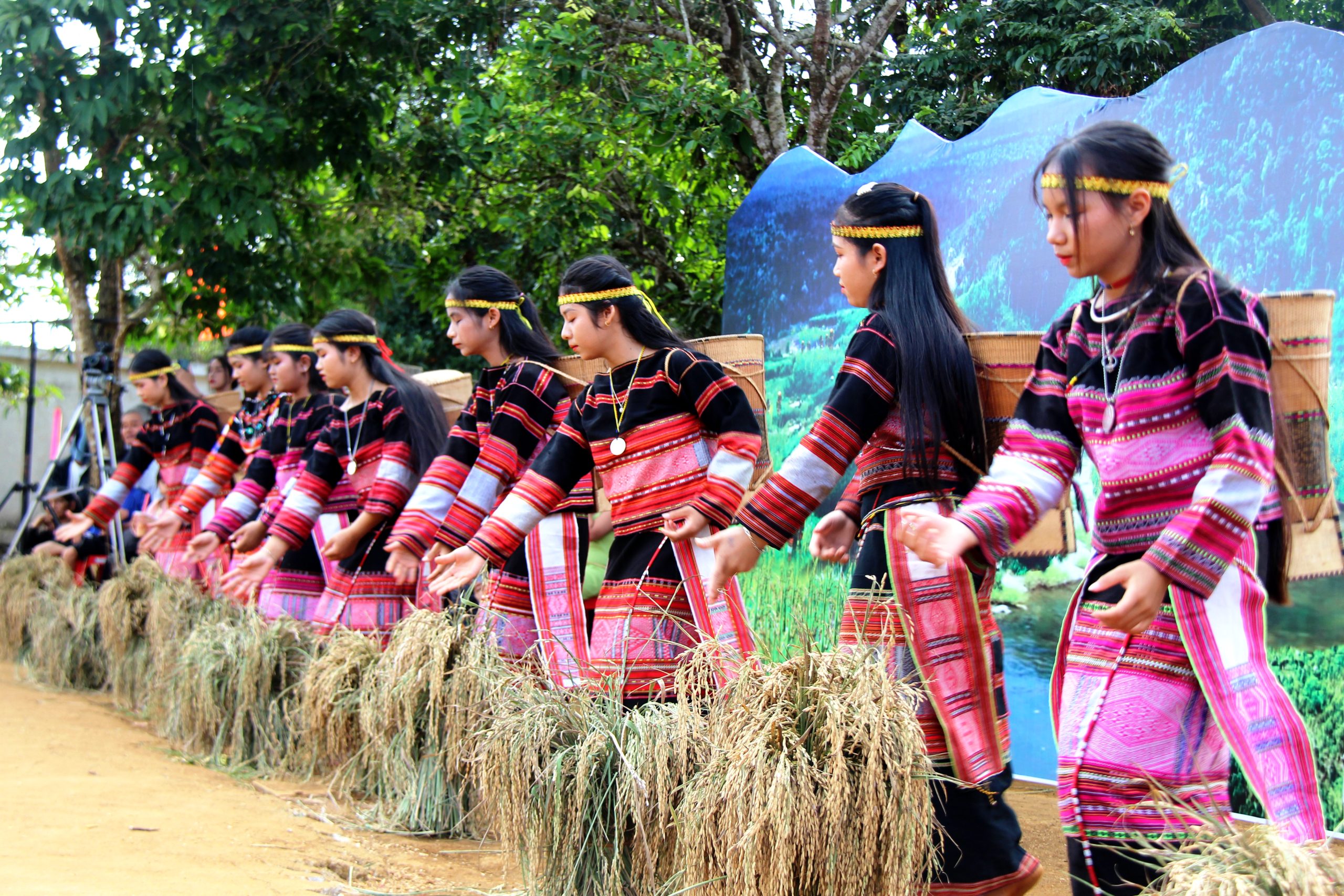Thêm sức sống cho lễ hội ăn cốm lúa mới của người Bana Kriêm